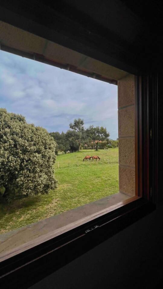 Villa Artegoikoaurdaibai Patrimonio De La Unesco Ibarrangelu Extérieur photo